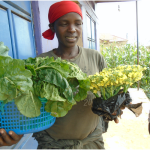 Empowering Women and Youth Through Agriculture