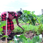 Transforming Lives Through Regenerative Farming