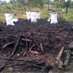 Building Climate-Resilient Communities in Uganda